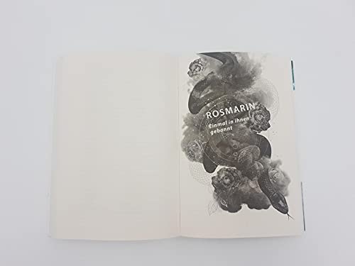 Lady of the Wicked (Lady of the Wicked 1): Das Herz der Hexe | Spannende Urban Fantasy trifft auf düsteren Hexenroman