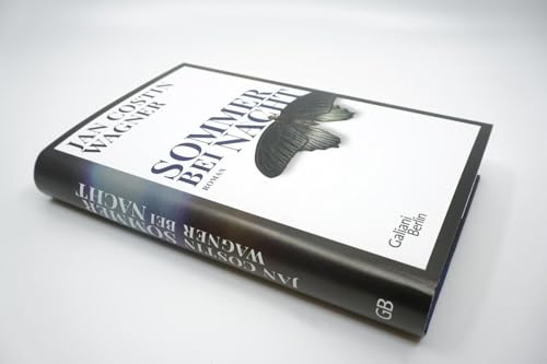 Sommer bei Nacht: Roman (Die Ben-Neven-Reihe, Band 1)