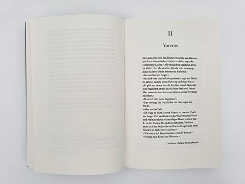 Die verschwundenen Mädchen: Roman | Eine alte Bibliothek und ein düsteres Familiengeheimnis in den Wäldern Englands