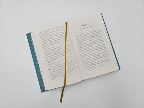 Der Buchspazierer: Roman | Der SPIEGEL-Bestseller als wertige Schmuckausgabe zum Kinofilm