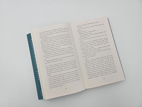 Der Buchspazierer: Roman | Der SPIEGEL-Bestseller als wertige Schmuckausgabe zum Kinofilm