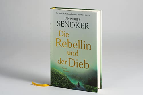 Die Rebellin und der Dieb: Roman
