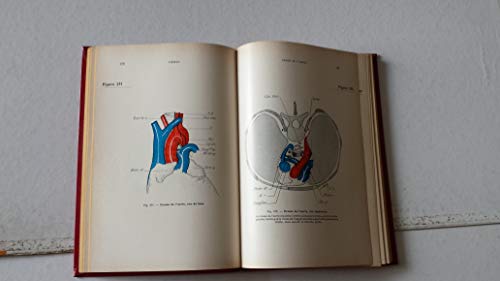 Chirurgie plastique de l'enfant : pathologie congenitale : rapport du xxxiie congres de la societe f