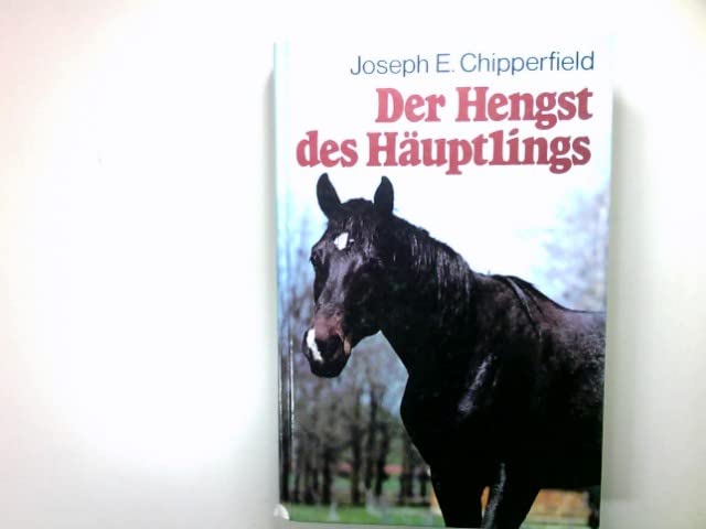 Der Hengst des Häuptlings.