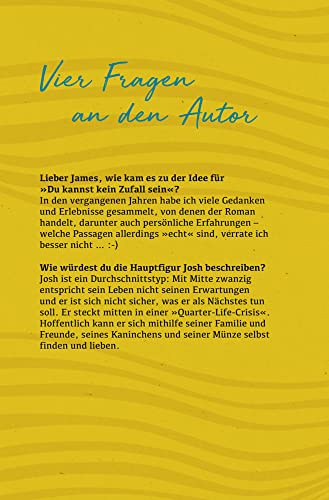 Du kannst kein Zufall sein: Roman