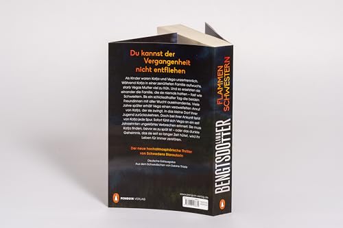 Flammenschwestern: Thriller. Der neue Thriller der schwedischen Bestsellerautorin