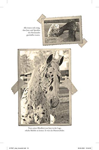 Joey - Wie ein blindes Pferd uns Wunder sehen ließ: Eine wahre Geschichte