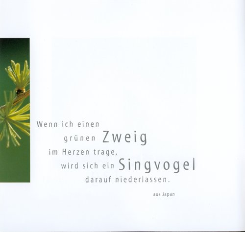 Zen - Im Fluss des Lebens