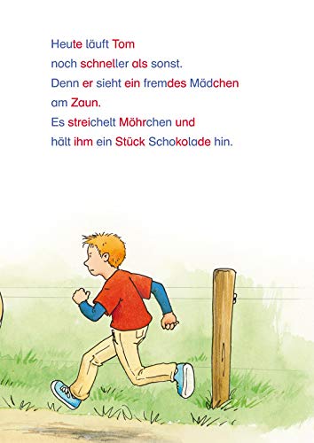 LESEMAUS zum Lesenlernen Sammelbände: Die schönsten Pferde-Silben-Geschichten: Extra Lesetraining – Lesetexte mit farbiger Silbenmarkierung
