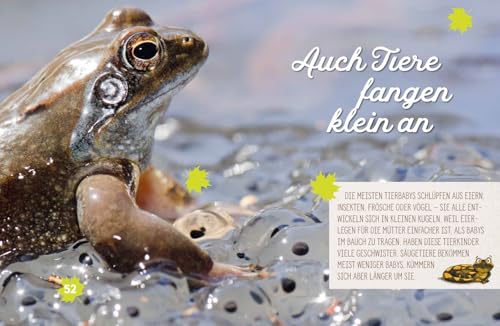 Weißt du, wo die Tiere wohnen?: Eine Entdeckungsreise durch Wiese und Wald: Interessantes Kinderbuch über die Natur und die Tierwelt ab 6 Jahren