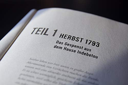 1793 (Winge und Cardell ermitteln 1): Roman