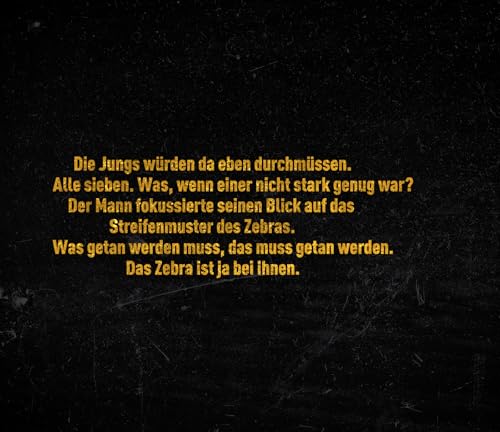 Im Auge des Zebras: Ein Bösherz-Thriller | SPIEGEL Bestseller vom Autor des Bestsellers »Auris« | »Eine düster-faszinierende Geschichte!« Sebastian Fitzek (Olivia Holzmann ermittelt, Band 1)