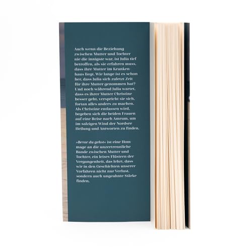Bevor du gehst: Roman | Von Bestsellerautorin Anne Barns | Ein bewegender Roman über die Liebe zwischen Mutter und Tochter