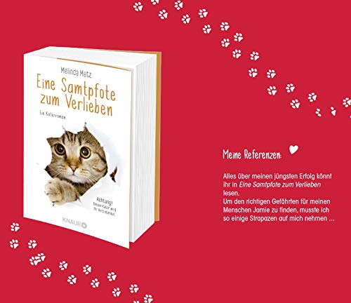 Eine Samtpfote stiehlt Herzen: Ein Katzenroman