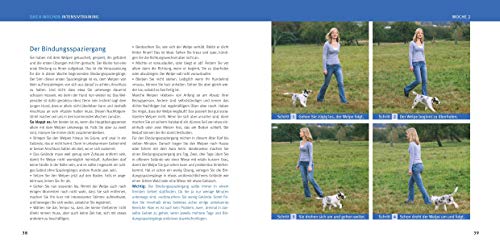 Welpen-Erziehung: Der 8-Wochen-Trainingsplan für Welpen. PLUS: Junghund-Training vom 5. bis 12. Monat. Der Top-Seller – über 250.000 verkaufte Exemplare! (GU Welpen)