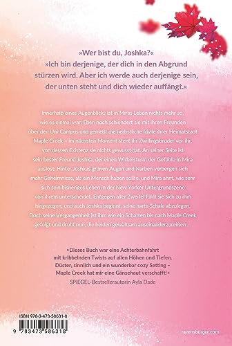 Maple-Creek-Reihe, Band 1: Meet Me in Maple Creek (der SPIEGEL-Bestseller-Erfolg von Alexandra Flint) (Maple-Creek-Reihe, 1)