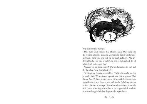 Caldera 1: Die Wächter des Dschungels: Fantastische Tier-Trilogie (1)
