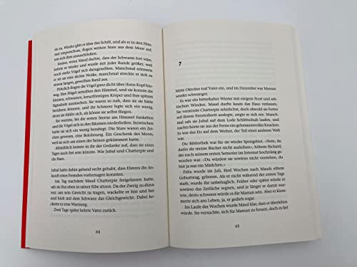 Teufelsnacht: Roman | Düsterer Thriller um ein altes englisches Herrenhaus und einen perfiden Mord