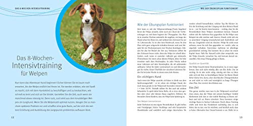 Welpen-Erziehung: Der 8-Wochen-Trainingsplan für Welpen. PLUS: Junghund-Training vom 5. bis 12. Monat. Der Top-Seller – über 250.000 verkaufte Exemplare! (GU Welpen)