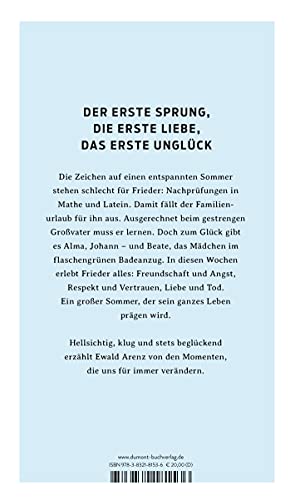 Der große Sommer: Roman