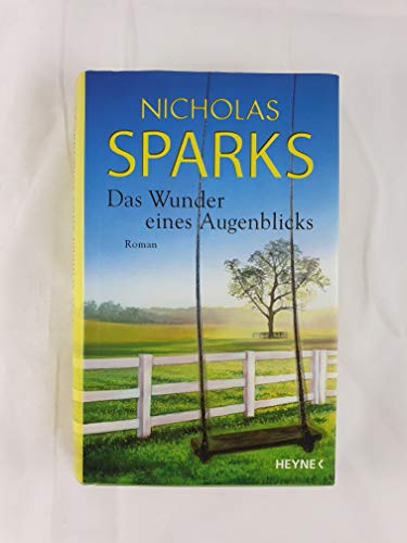 Das Wunder eines Augenblicks: Roman