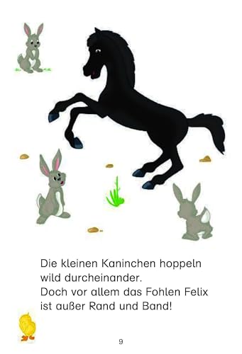 Bibi und Tina - Los geht's im Galopp!: 4 spannende Pferde-Abenteuer in einem Band. Leseanfänger ab 6 Jahren