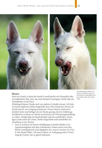 Sprachkurs Hund mit Martin Rütter: Körpersprache verstehen, richtig kommunizieren