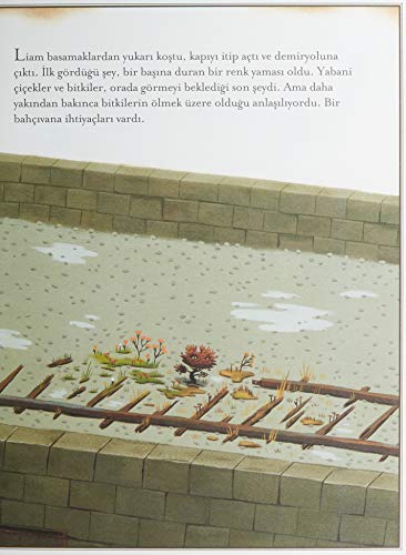 Merakli Bahce