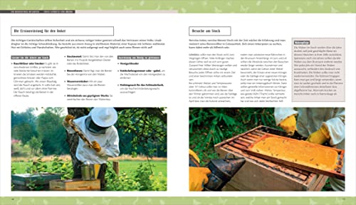 Biene, Igel, Schmetterling. So wird Ihr Garten zum Naturparadies.: Nützliches für Nützlinge: Insektenhotels, Nistkästen, Igelhütte, Feldermaushaus ... Mit Extrakapitel: Imkern für Einsteiger