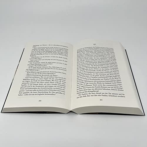 Die Hafenärztin. Ein Leben für das Recht auf Liebe: Roman | Ein dramatischer Frauenroman, der die Leserinnen an den Hamburger Hafen zur Kaiserzeit entführt
