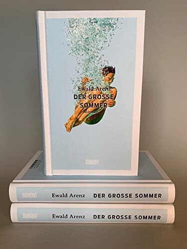 Der große Sommer: Roman