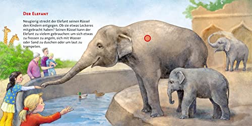 Hör mal (Soundbuch): Im Zoo: Zum Hören, Schauen und Mitmachen ab 2 Jahren. Mit echten Tierstimmen