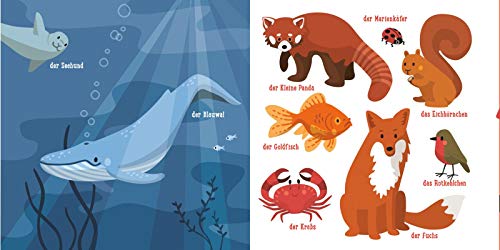 Baby Pixi (unkaputtbar) 93: Blauwalblau und andere tolle Farben: Unzerstörbares Baby-Buch ab 12 Monaten mit ersten Wörtern zum Lernen – auch als Badebuch geeignet (93)