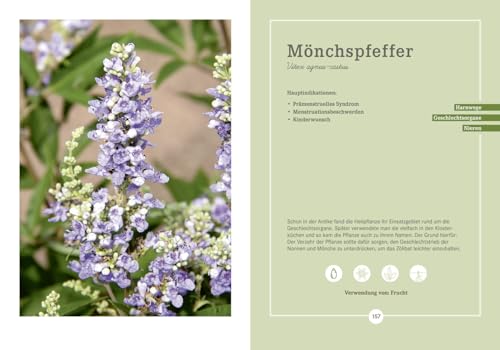 Apotheken Umschau: Heilpflanzen: Wie sie wirken und uns helfen, gesund zu bleiben (Die Buchreihe der Apotheken Umschau, Band 4)