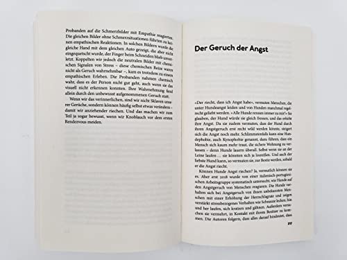 Alles Geruchssache: Wie unsere Nase steuert, was wir wollen und wen wir lieben | Ein aufschlussreiches Sachbuch über Wahrnehmung und Geruchssinn