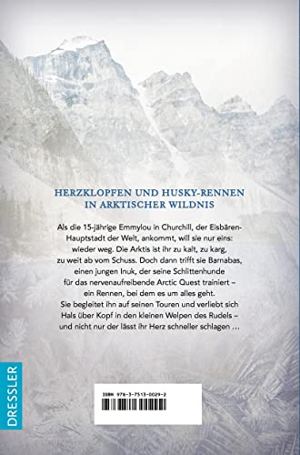 Ice Song: Coming-of-Age-Roman zwischen klirrender Kälte und wohlig-warmen Herzklopfen