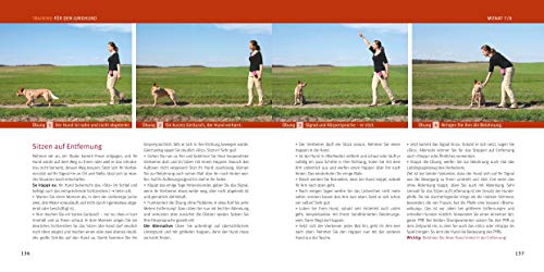 Welpen-Erziehung: Der 8-Wochen-Trainingsplan für Welpen. PLUS: Junghund-Training vom 5. bis 12. Monat. Der Top-Seller – über 250.000 verkaufte Exemplare! (GU Welpen)