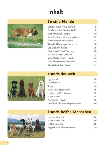Hunde, die besten Freunde: Rassen, Haltung, Erziehung und Beschäftigung