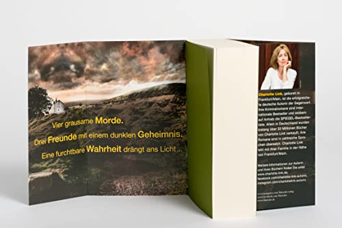 Am Ende des Schweigens: Kriminalroman