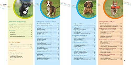 Welpen-Erziehung: Der 8-Wochen-Trainingsplan für Welpen. PLUS: Junghund-Training vom 5. bis 12. Monat. Der Top-Seller – über 250.000 verkaufte Exemplare! (GU Welpen)