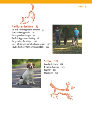 Zufrieden an der Leine