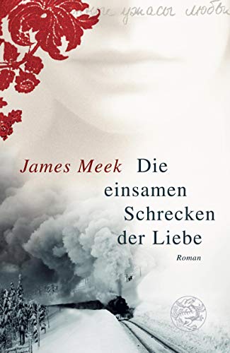 Die einsamen Schrecken der Liebe: Roman