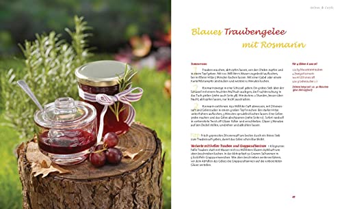 Marmeladen & mehr: Mit den besten Rezepten für Konfitüren, Gelees, Chutneys und Sirupe