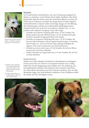 Sprachkurs Hund mit Martin Rütter: Körpersprache verstehen, richtig kommunizieren