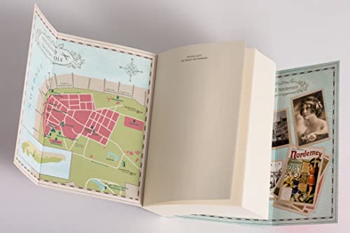 Die Frauen vom Inselsalon: Roman - Die Norderney-Saga (Norderney-Reihe, Band 1)