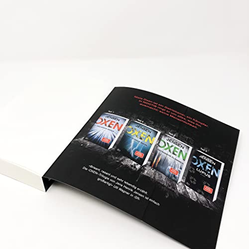 Oxen. Noctis: Thriller (Niels-Oxen-Reihe, Band 5)