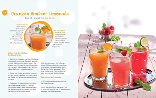 Limonaden selbst gemacht - weniger Zucker, mehr Genuss: Die besten Rezepte mit natürlichen Zutaten