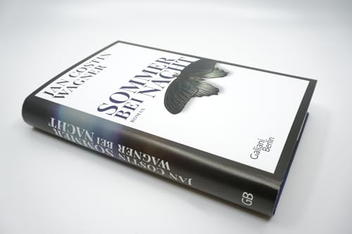 Sommer bei Nacht: Roman (Die Ben-Neven-Reihe, Band 1)