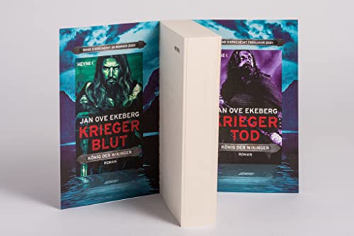 Kriegerjahre: Roman (Die König-der-Wikinger-Trilogie, Band 1)