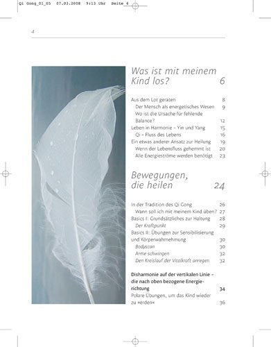 Qi Gong für mein Kind: Lernerfolg und Lebensfreude durch Bewegungsübungen